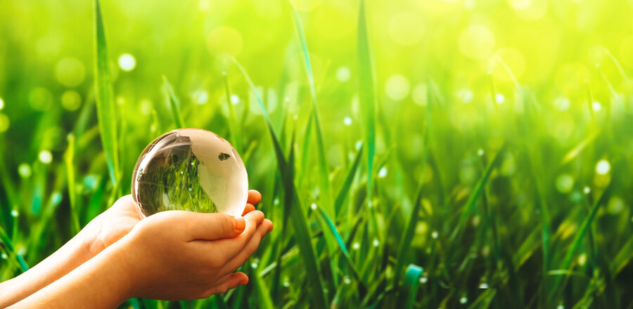 Child,Hands,Holding,Glass,Green,Planet.,Save,Earth.,Concept,Of