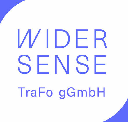 Logo WiderSense
